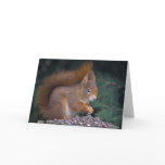 Nut Brunch Card