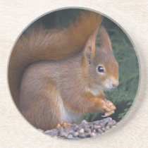 Nut Brunch Coaster