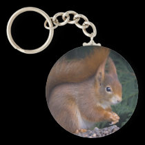 Nut Brunch Keyring keychains