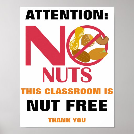 nut-free-classroom-sign-for-school-or-daycare-poster-zazzle