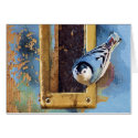 nuthatch 2 cards