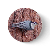 Nuthatch Bird Button