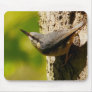 Nuthatch Mouse Pad