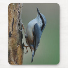 Nuthatch - mousepad