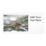 Nuthatch on Snowy Branch in Winter Personalised Photo Card