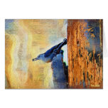 Nuthatch with Seed Greeting Cards