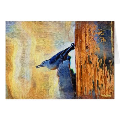Nuthatch with Seed Greeting Cards by mrsmas