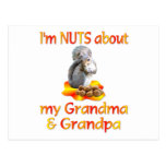 Nuts about Grandma & Grandpa Postcards