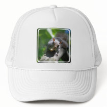 Nutty Squirrel Baseball Hat