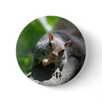 Nutty Squirrel Button