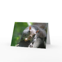 Nutty Squirrel Greeting Card