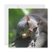 Nutty Squirrel Invitations
