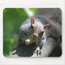 Nutty Squirrel Mouse Pad