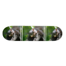 Nutty Squirrel Skateboard