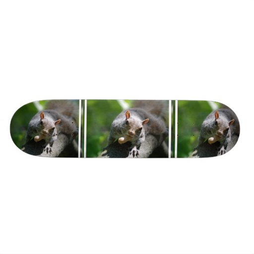 Nutty Squirrel Skateboard
