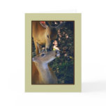 'Nuzzling Deer Duo' Blank Greeting Card