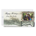ny winter tree photo cards