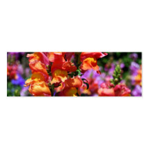 NYBG: No. 154 [Skinny] Business Card Template