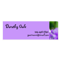 NYBG: No. 290 [Skinny] Business Card Template