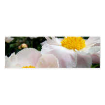 NYBG: No. 371 [Skinny] Business Card
