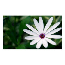 NYBG: No. 42 [Business] Business Cards