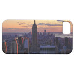 NYC Skyline just before sunset