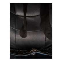 NYLONS AND COLLAR POSTCARDS