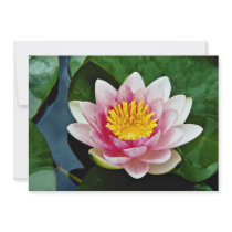 Nymphaea attraction, red, hardy water lily  flower personalized invite