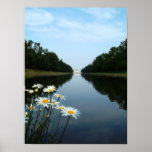 Nymphenburg Flowers posters