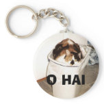 O HAI I HOPE U WERNT GONA TAKE DA TRASH OUT keychains