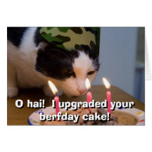 O hai!  I upgraded your berfday cake Cards