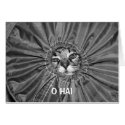 O Hai LOLcat Card