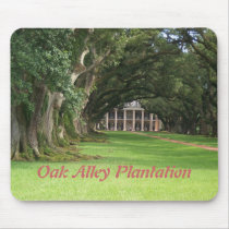 Oak Alley Plantation