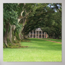 Oak Alley Plantation Print