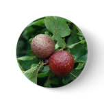 Oak Berries buttons
