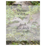 Oak Leaf and Chickweed flyers