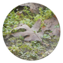 Oak Leaf and Chickweed Plates