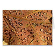 Oak Leaf and Dew Card