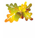 oak leaves t-shirts