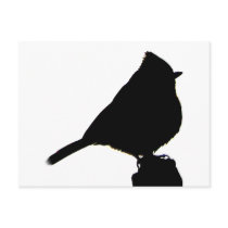 Oak Titmouse black & white Postcard