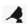 Oak Titmouse black & white Postcard