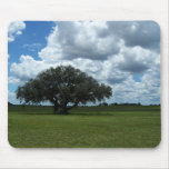 Oak Tree and Clouds Mousepads