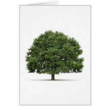 Oak Tree Cards