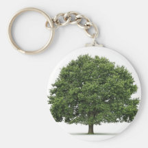 Oak Tree Keychains