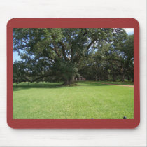 OAK TREE MOUSE PAD
