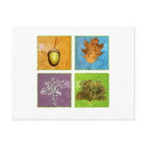 Oak Tree Post Cards
