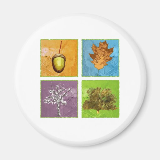 Oak Tree Refrigerator Magnets