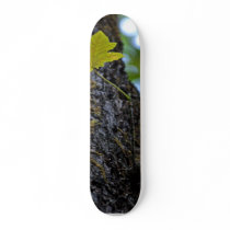 Oak Tree Custom Skate Board