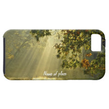 Oak Tree with Morning Sunbeams