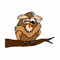 Oakley Owl